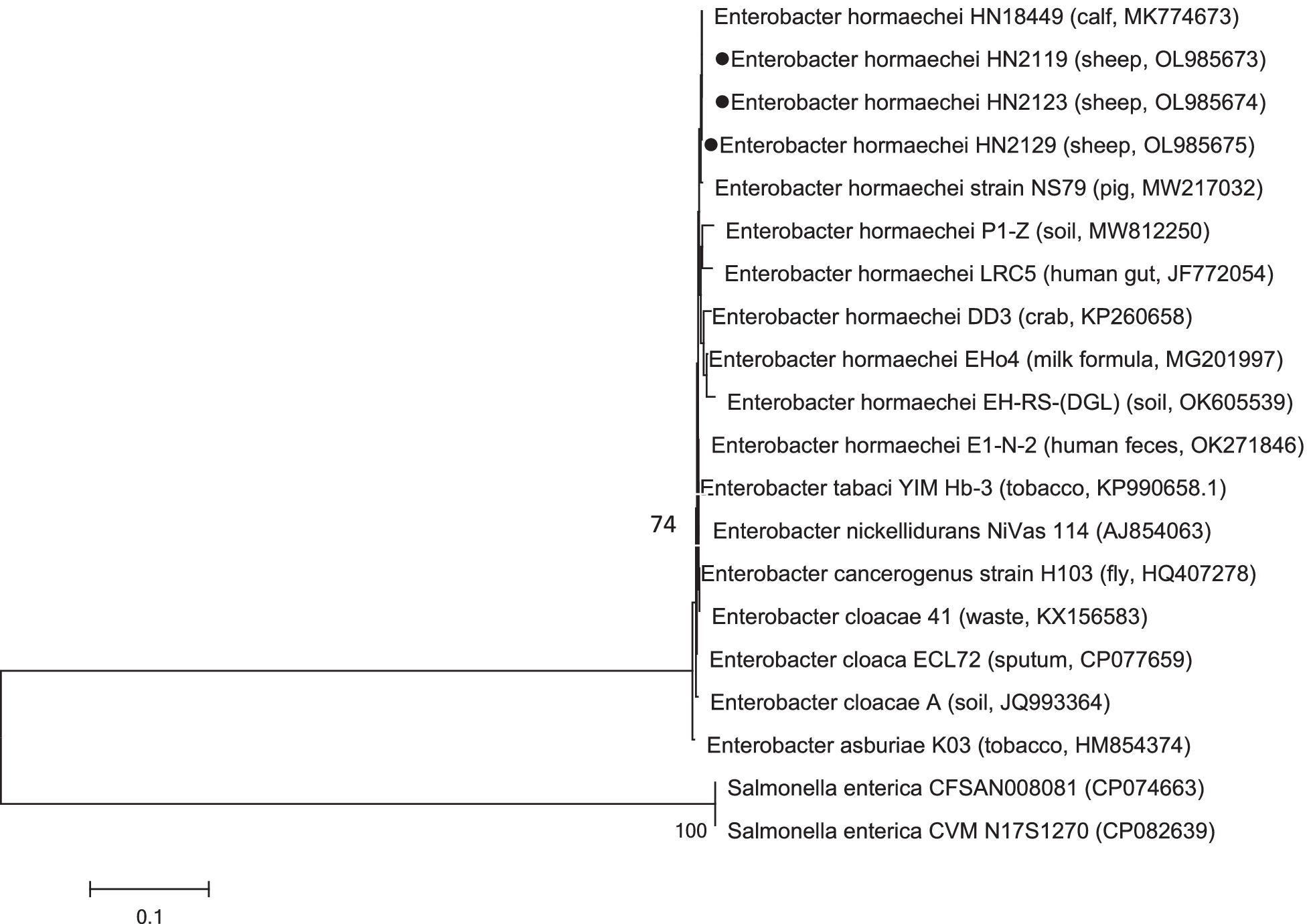 Fig. 2