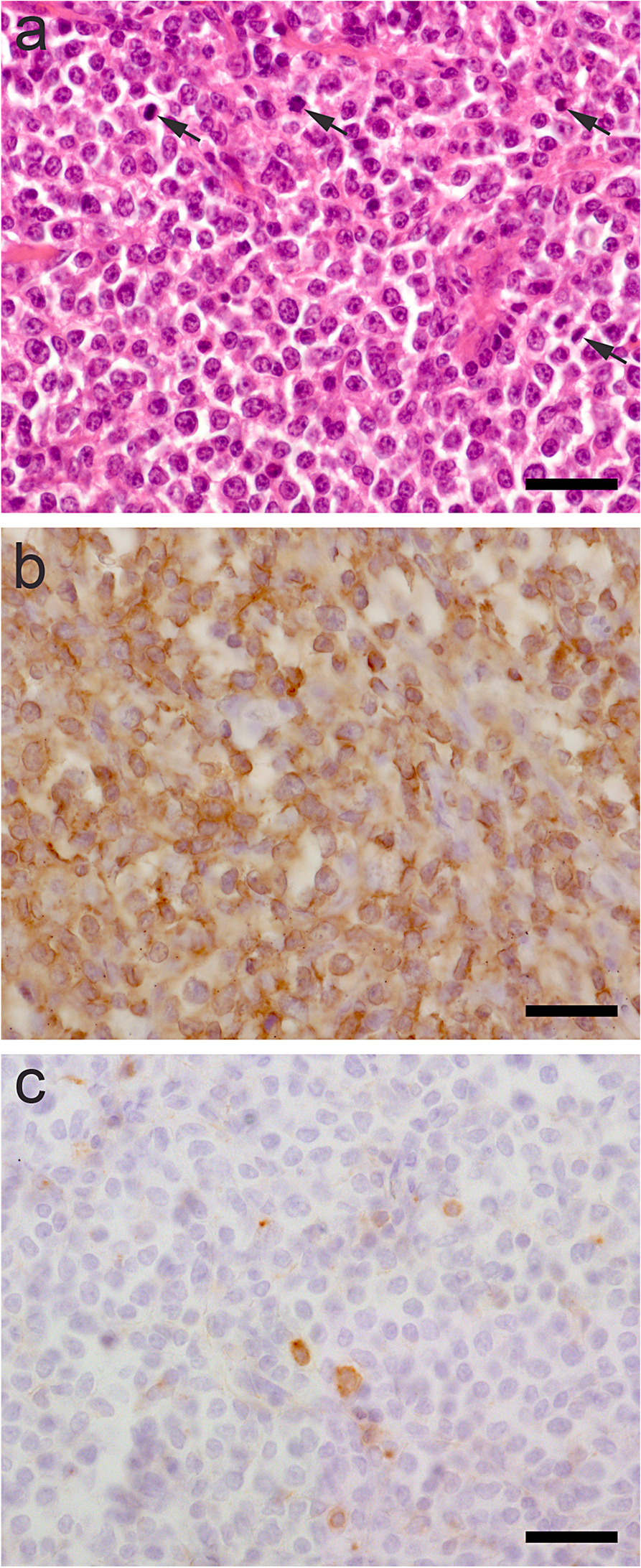 Fig. 5