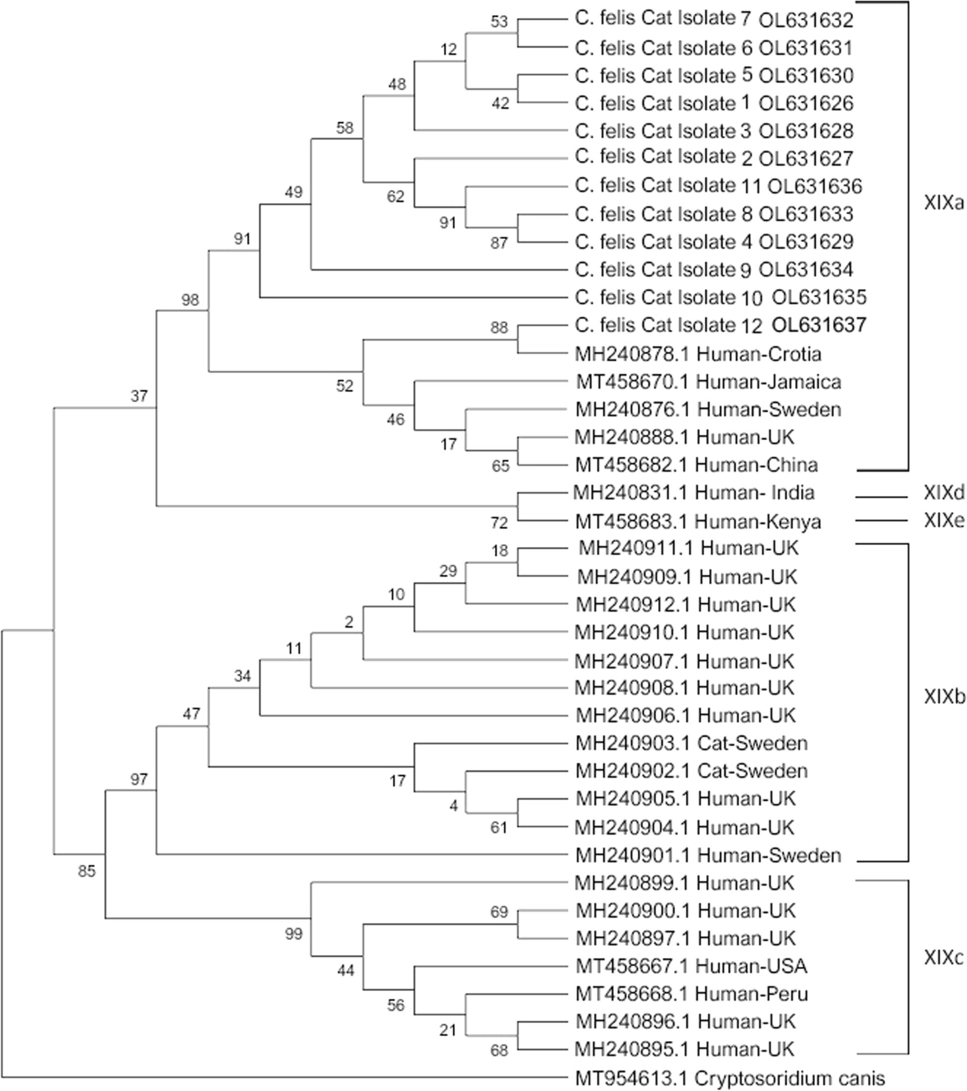 Fig. 2