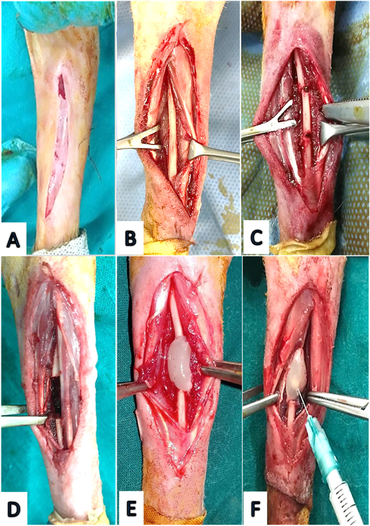 Fig. 7