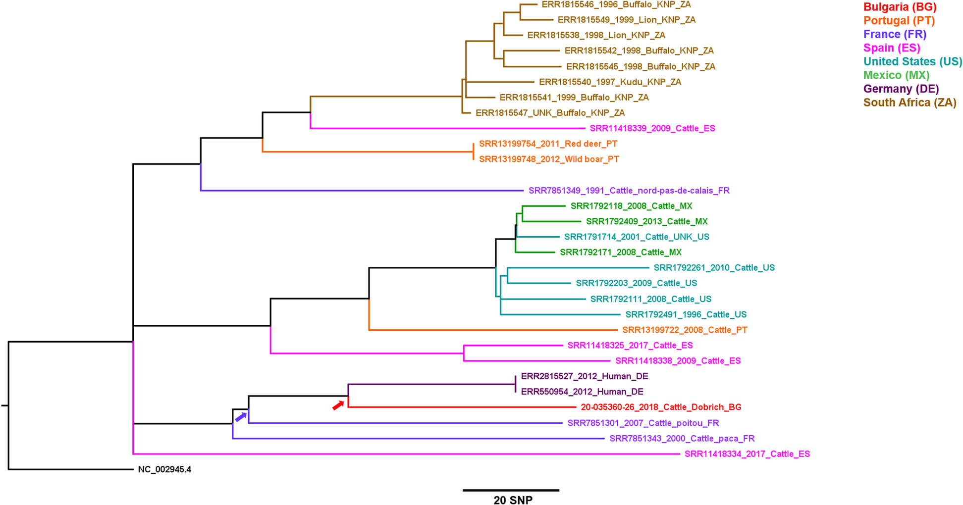 Fig. 3