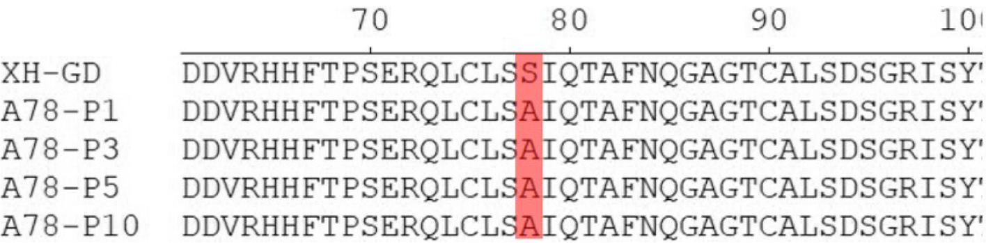 Fig. 9