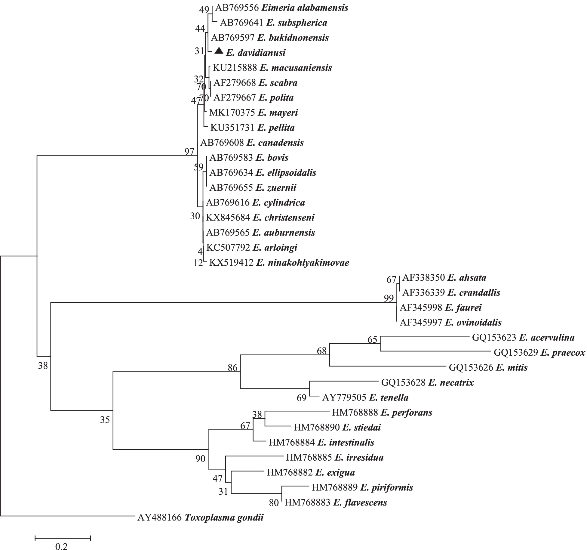 Fig. 4