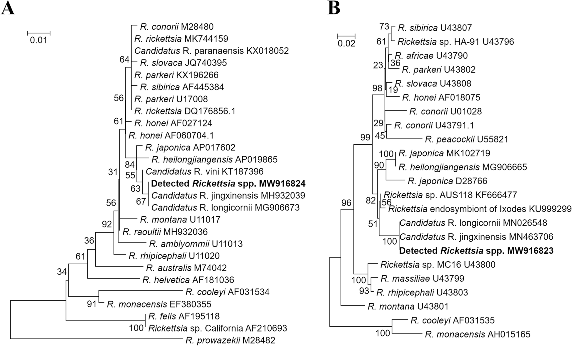 Fig. 3