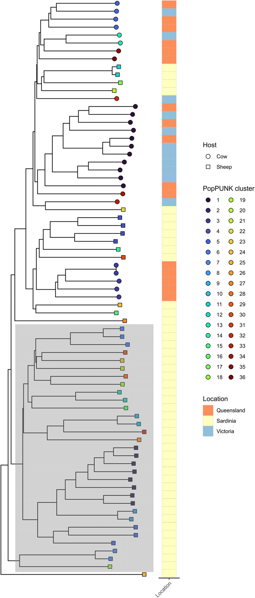 Fig. 2