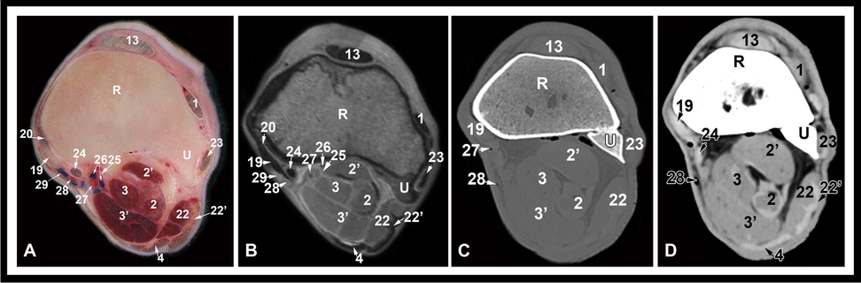 Fig. 5