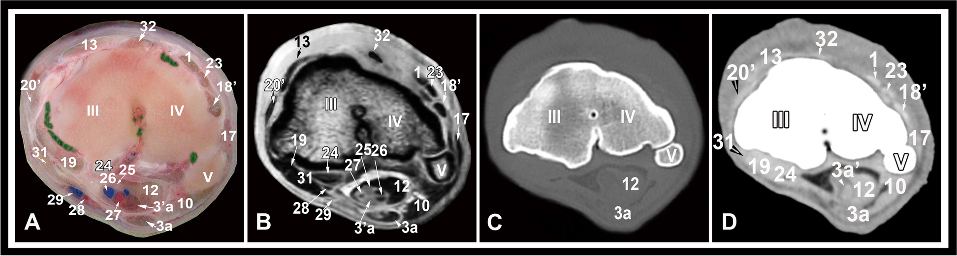 Fig. 8