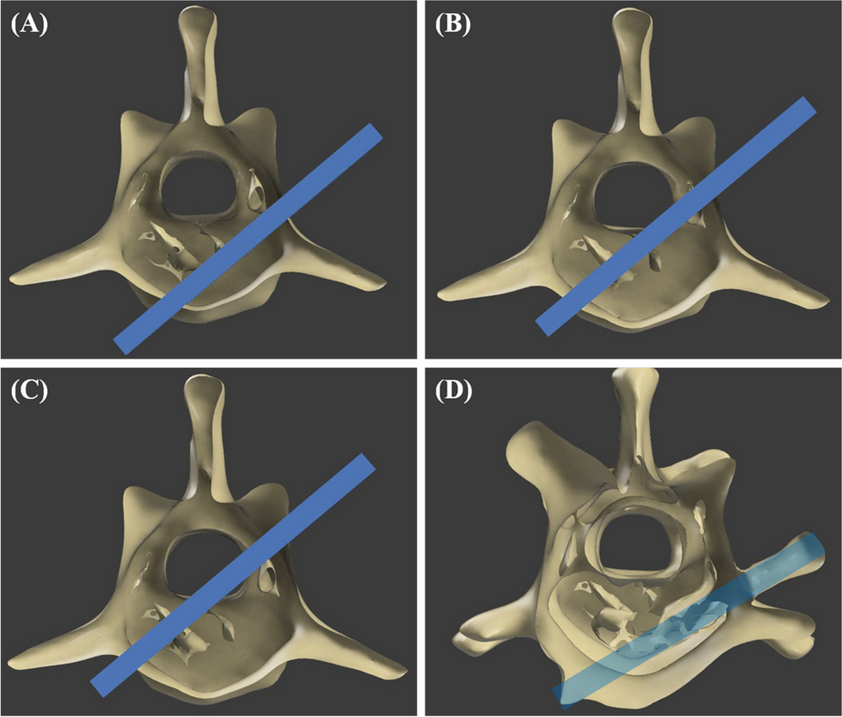 Fig. 9