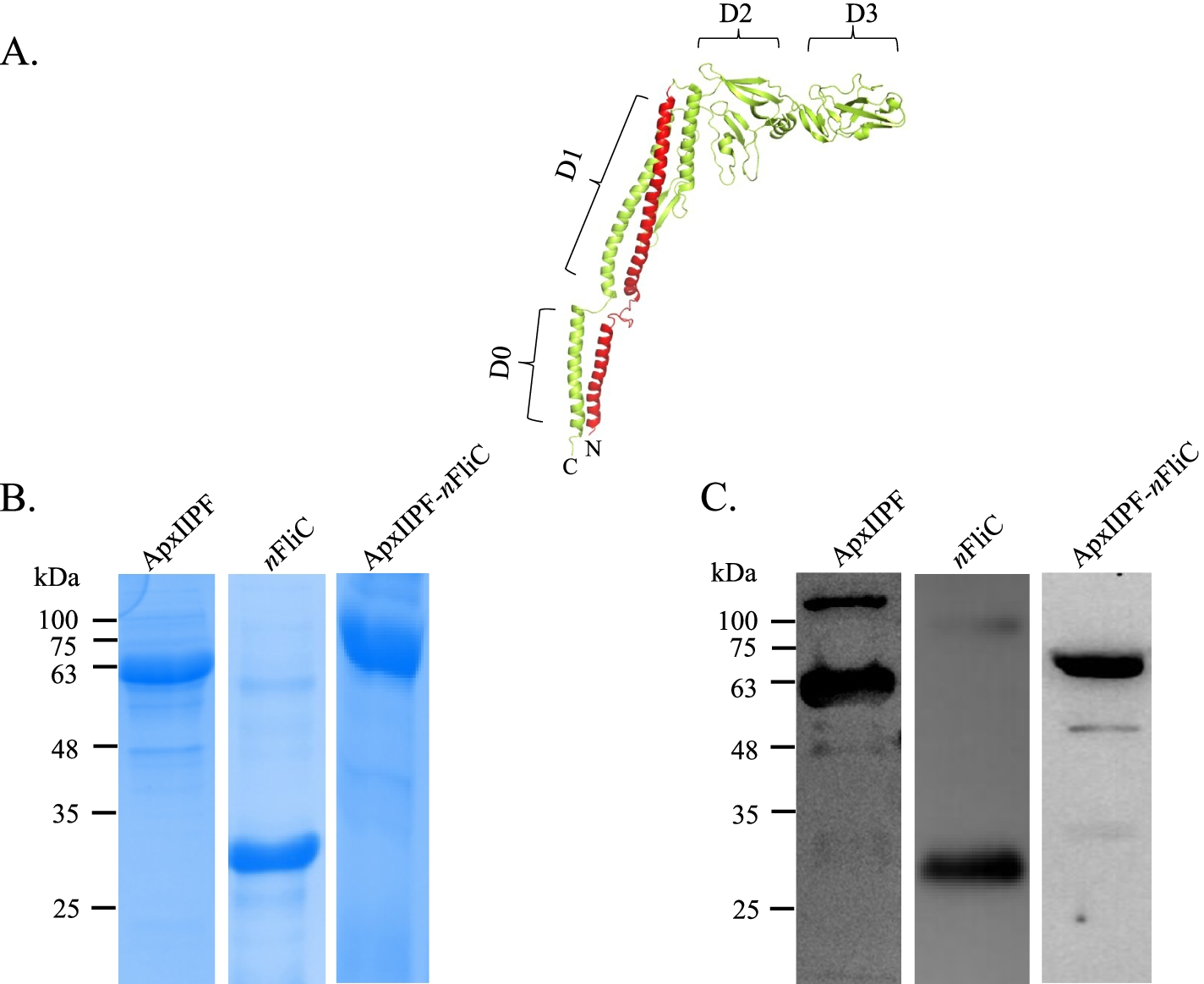 Fig. 1