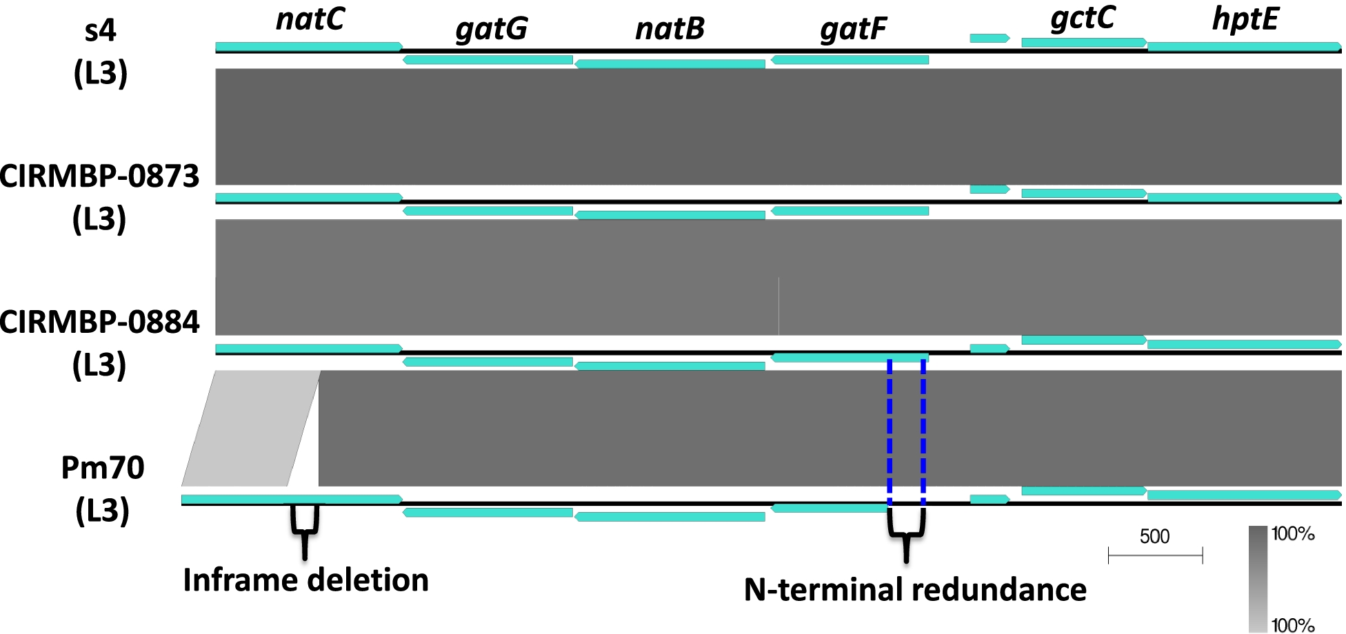 Fig. 8