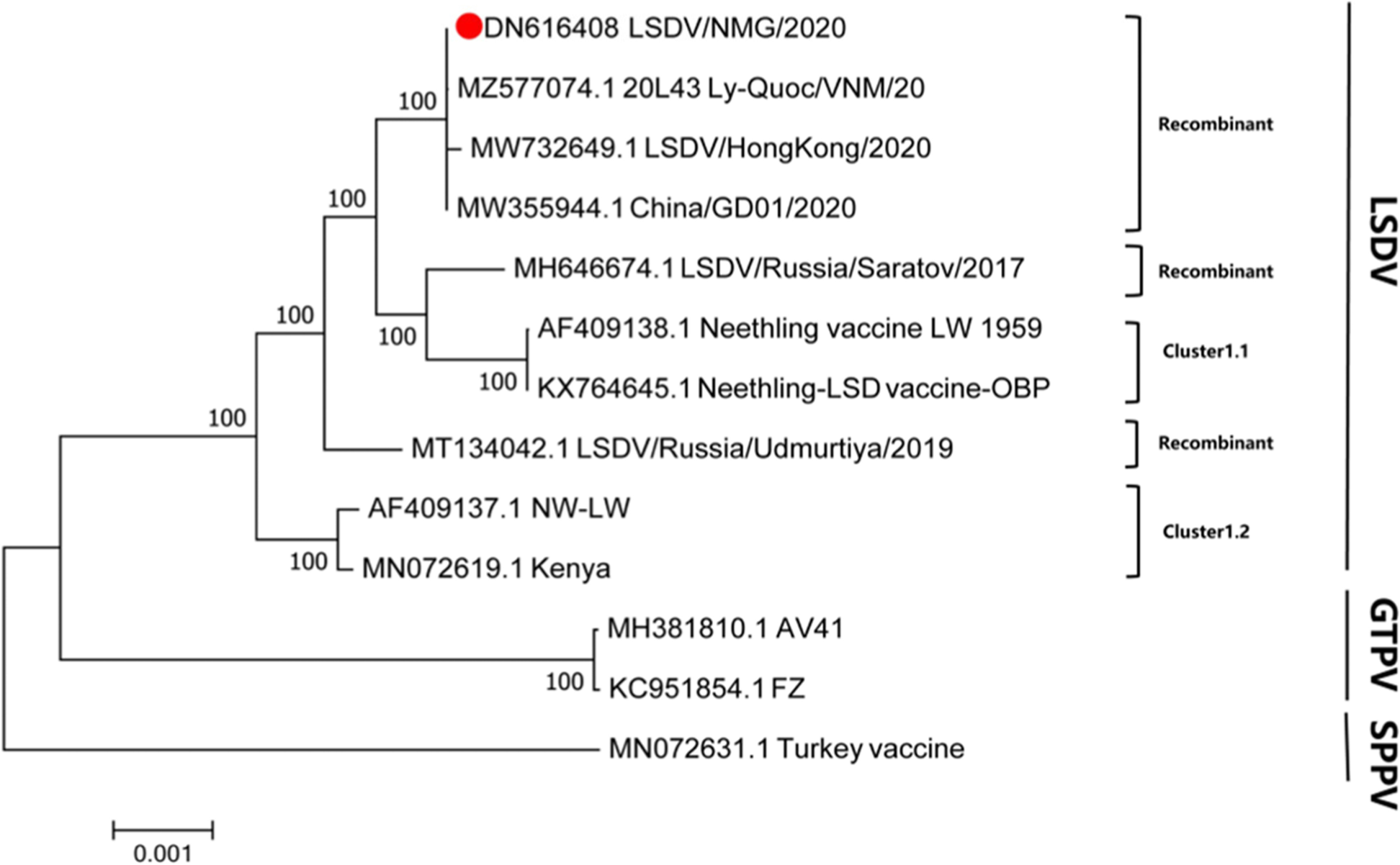 Fig. 2