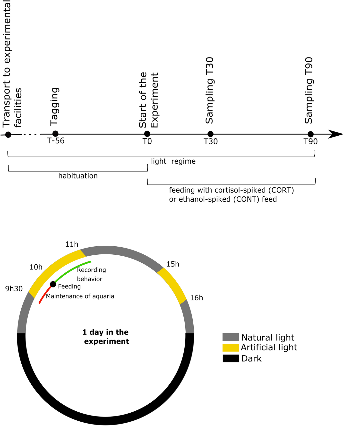 Fig. 4