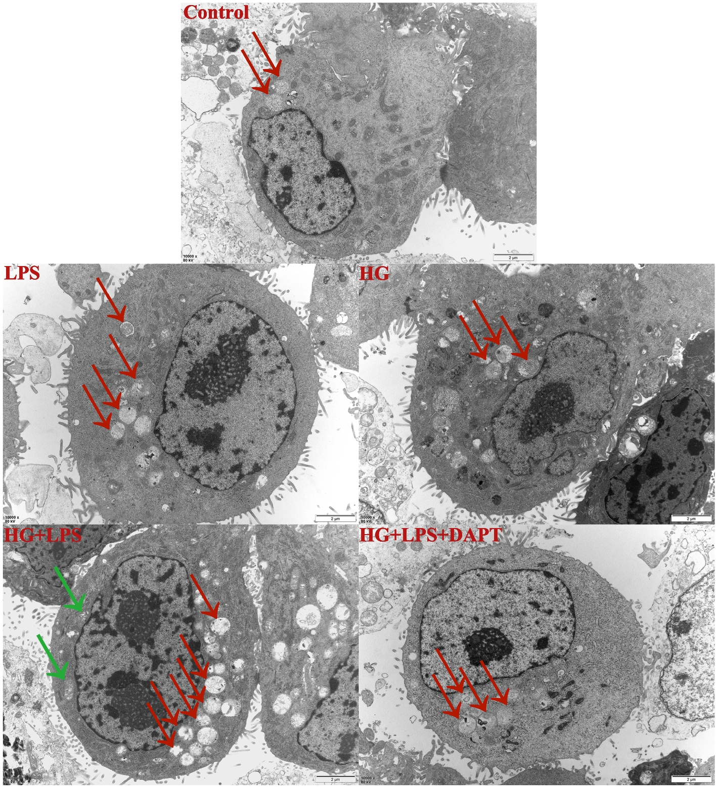 Fig. 5