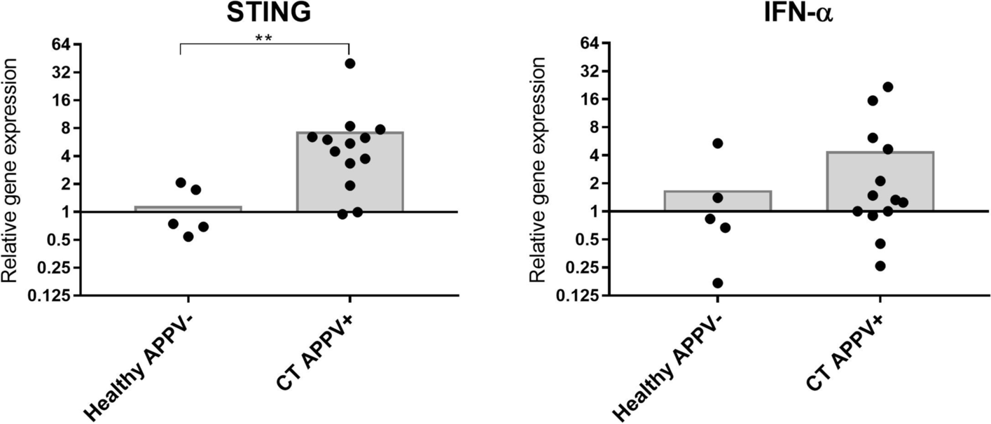 Fig. 4