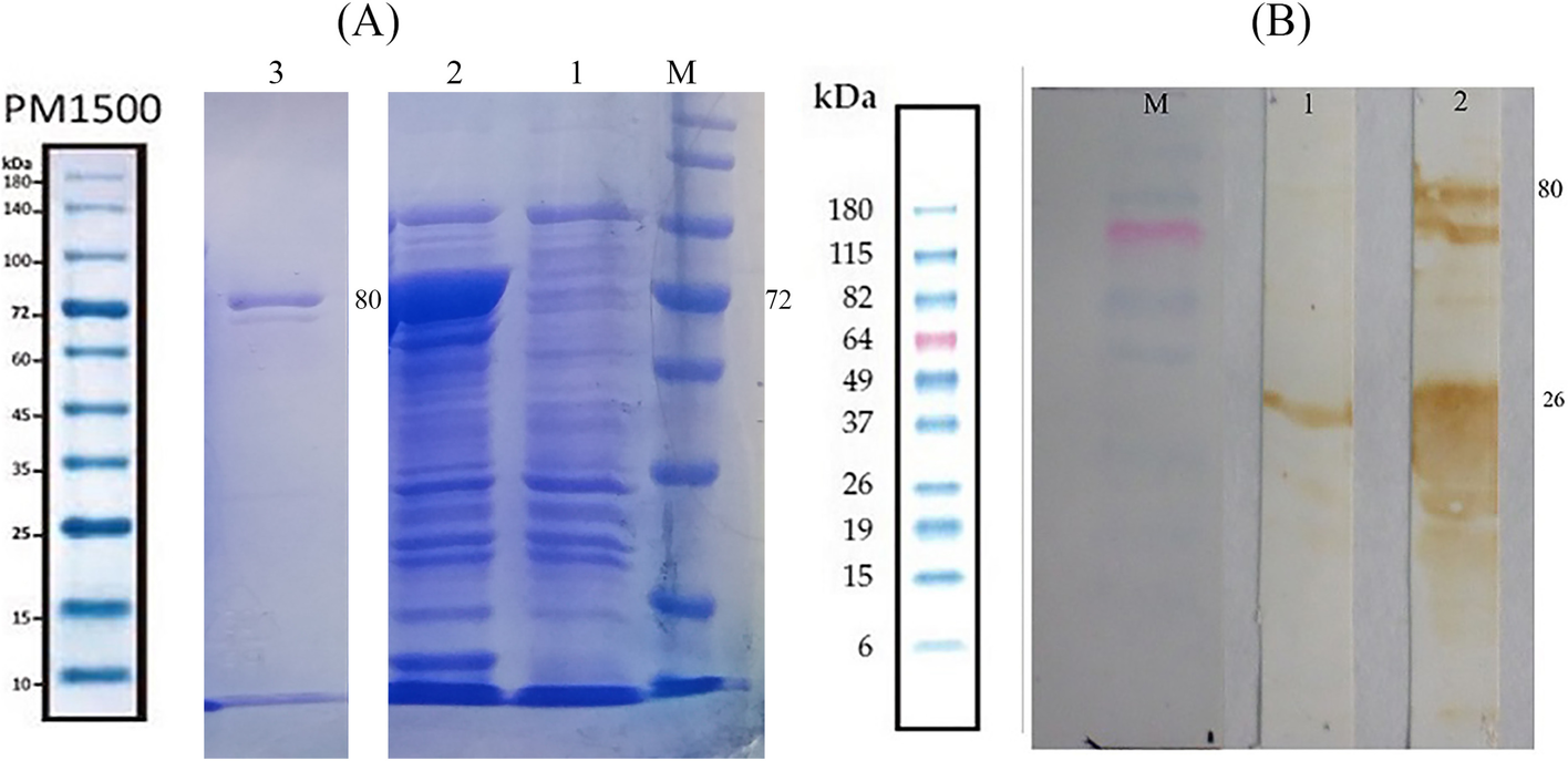 Fig. 5