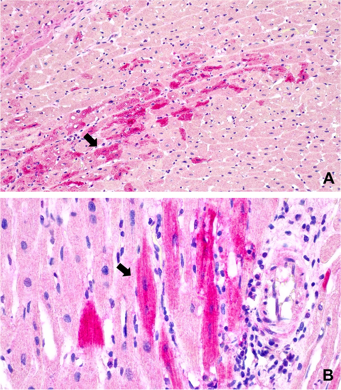 Fig. 3