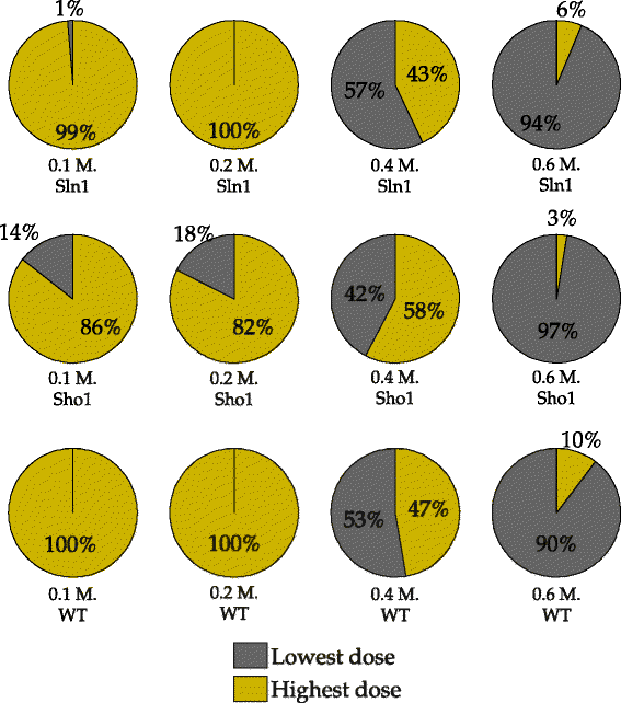 Fig. 14