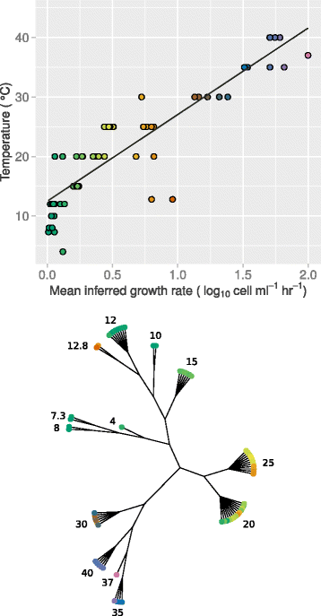 Fig. 5