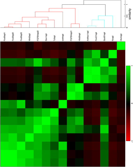 Fig. 10