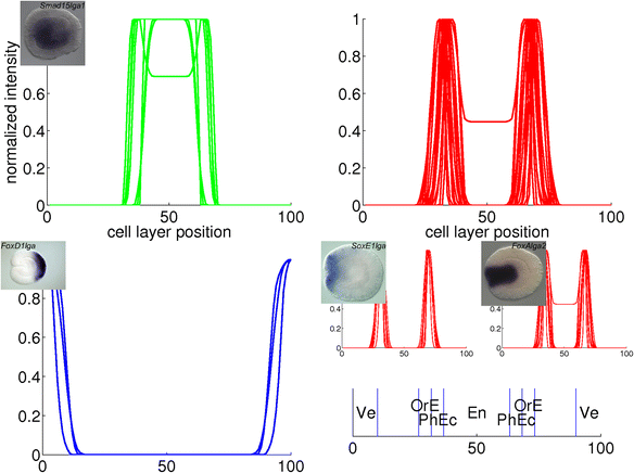 Fig. 16