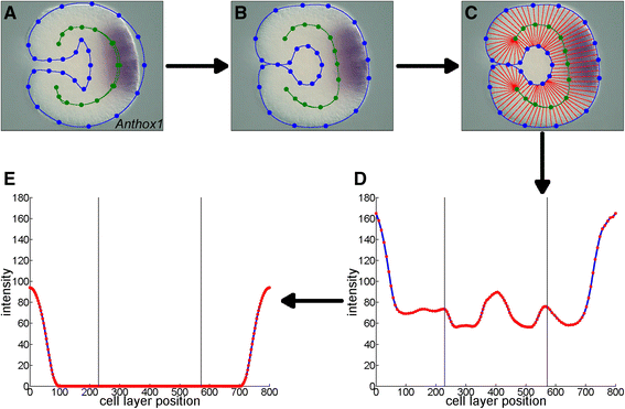 Fig. 3