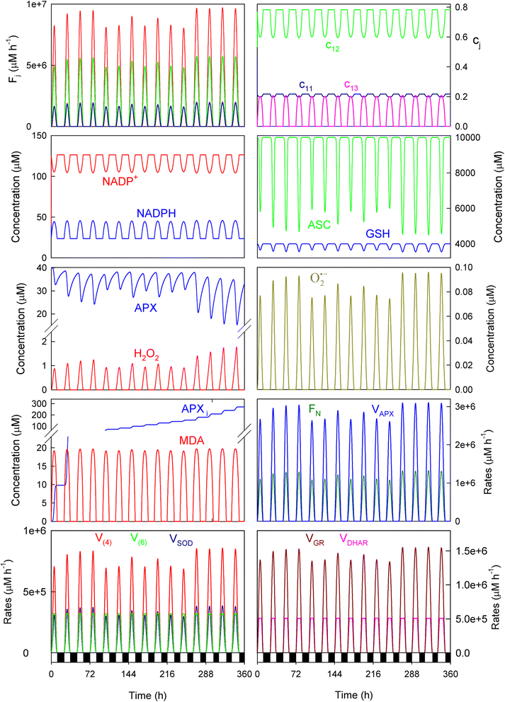 Fig. 6