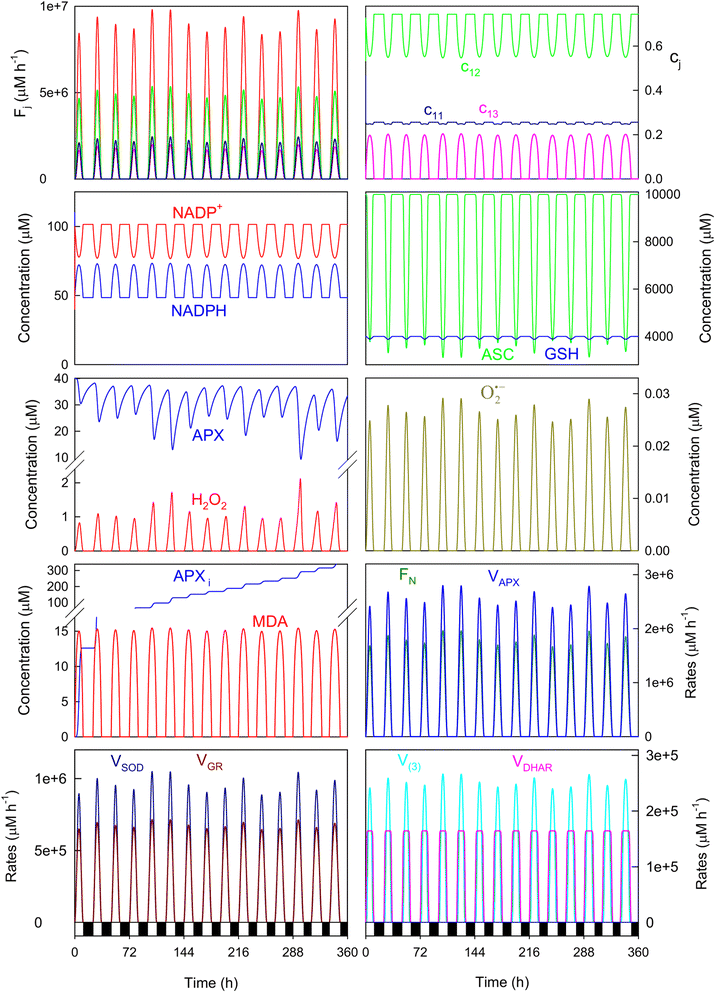 Fig. 7