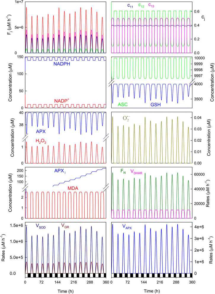 Fig. 8