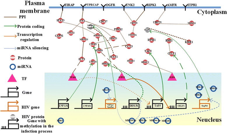 Fig. 6