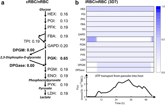 Fig. 7