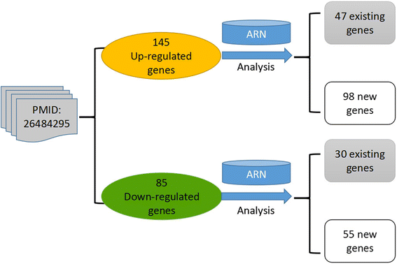 Fig. 9