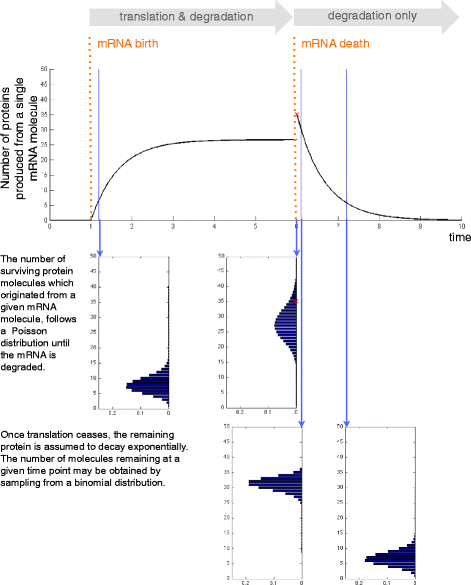 Fig. 8