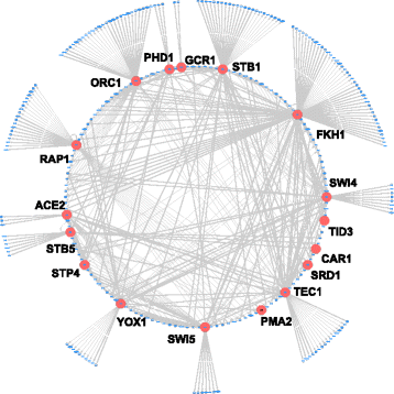 Fig. 3