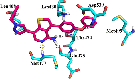 Fig. 1