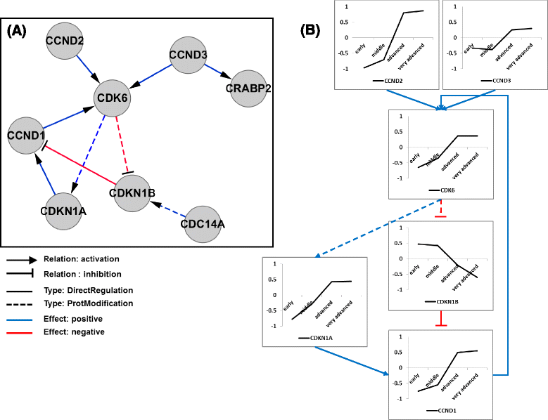 Fig. 9