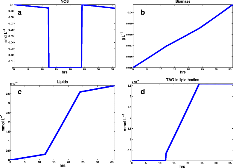 Fig. 5