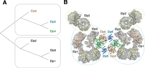 Fig. 3