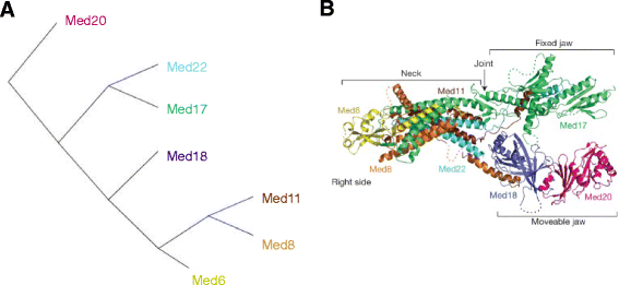 Fig. 4