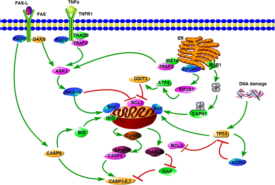 Fig. 6