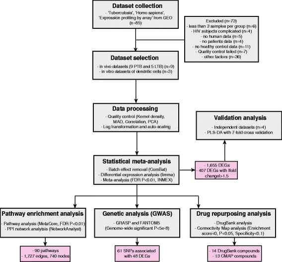 Meta Analysis Of Human Gene Expression In Response To Mycobacterium Tuberculosis Infection Reveals Potential Therapeutic Targets Bmc Systems Biology Full Text Meta Analysis Of Human Gene Expression In Response To Mycobacterium Tuberculosis Infection Reveals Potential Therapeutic Targets Bmc Systems Biology Full Text