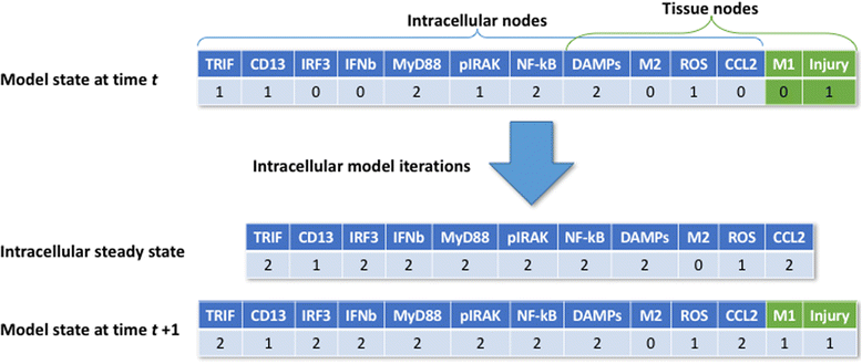 Fig. 3