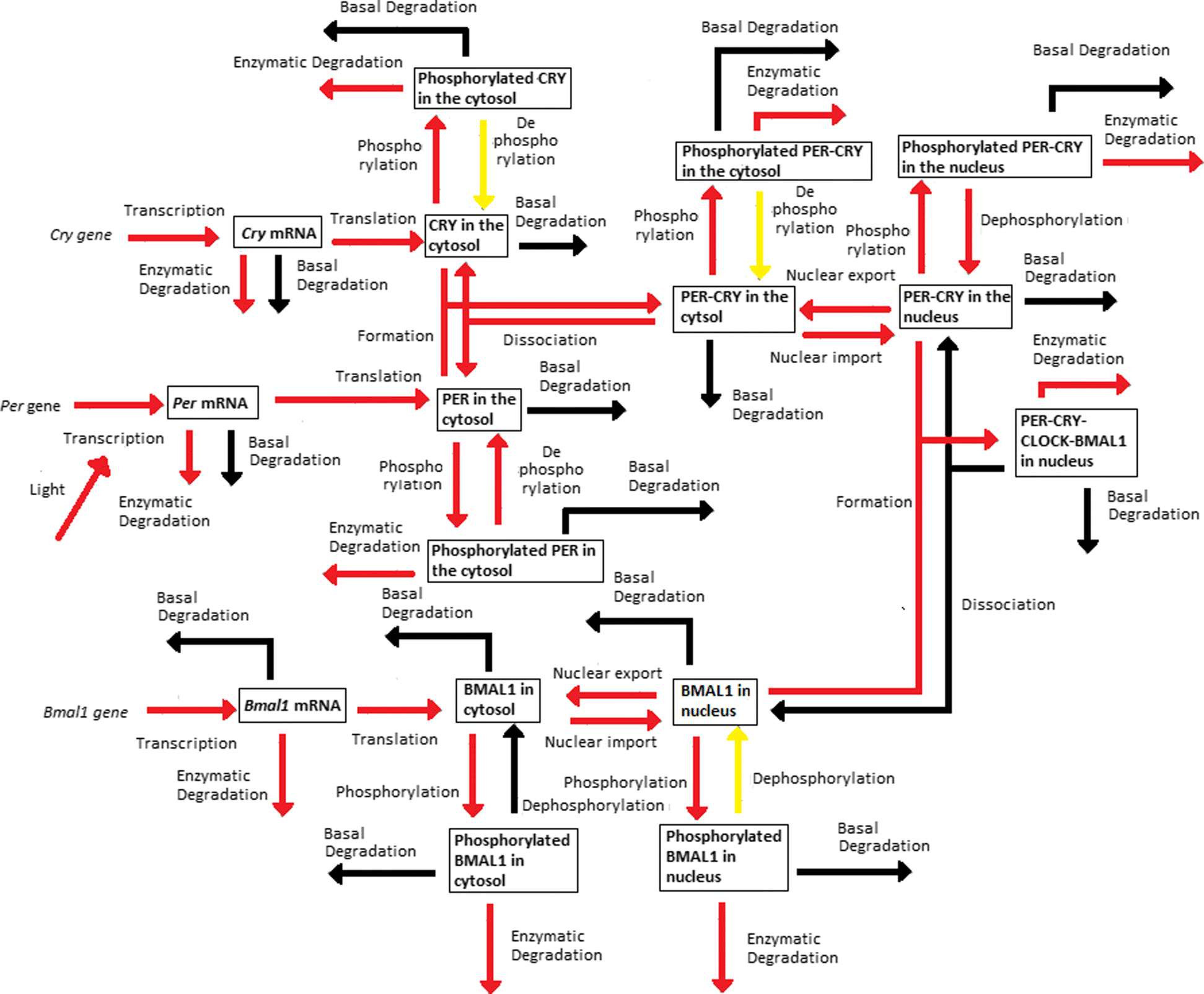 Fig. 12