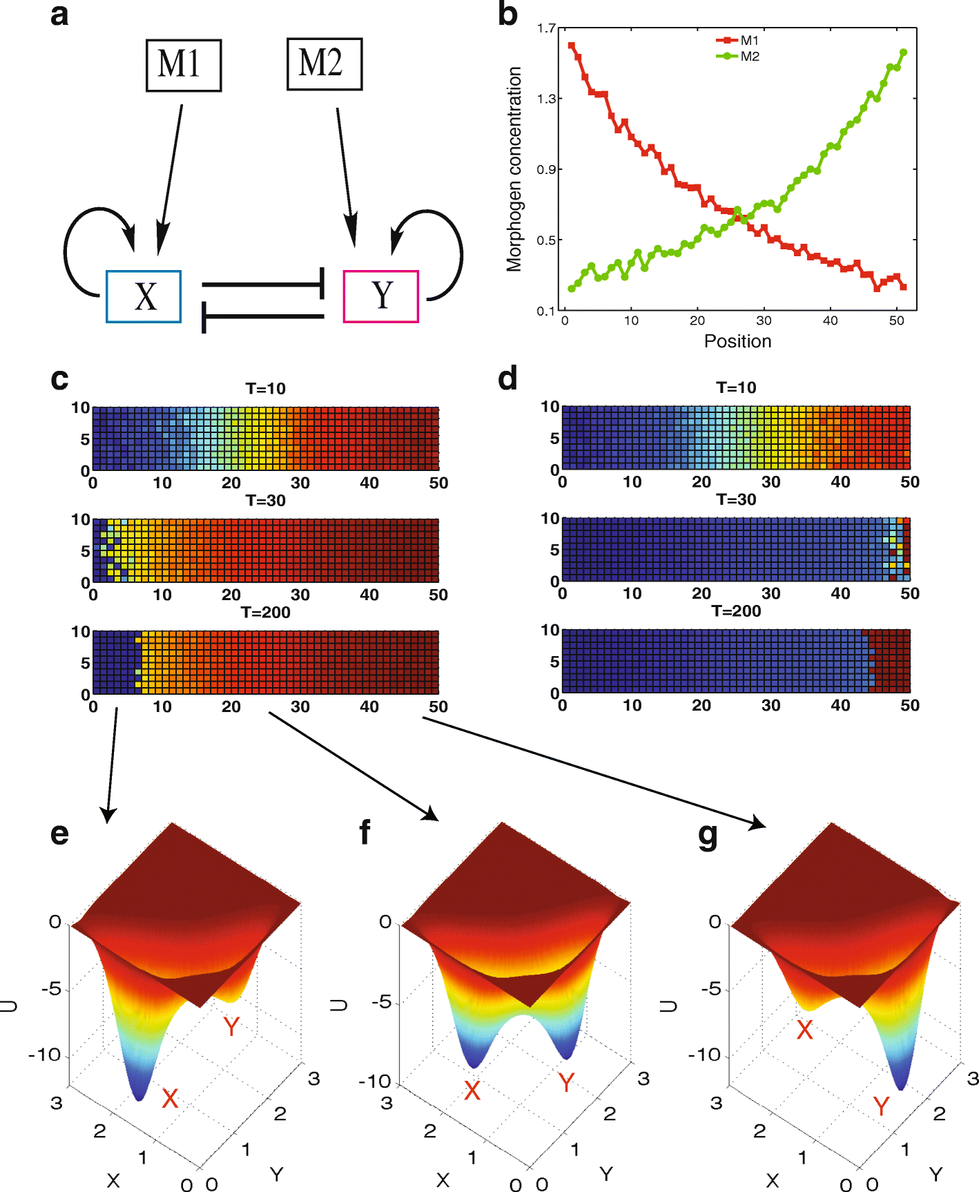 Fig. 7