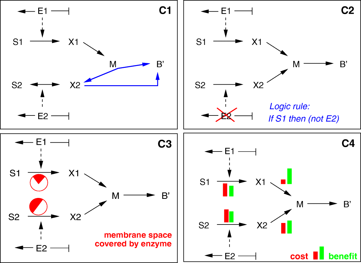 Fig. 5