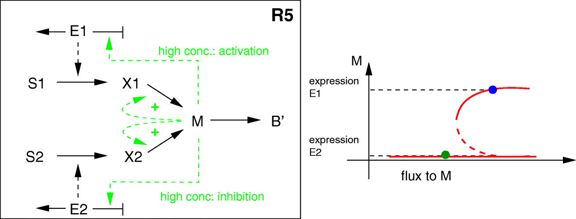 Fig. 8