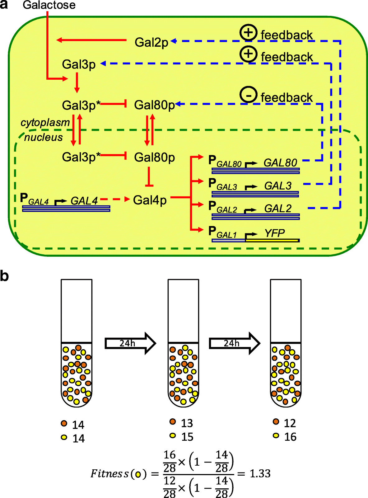 Fig. 1