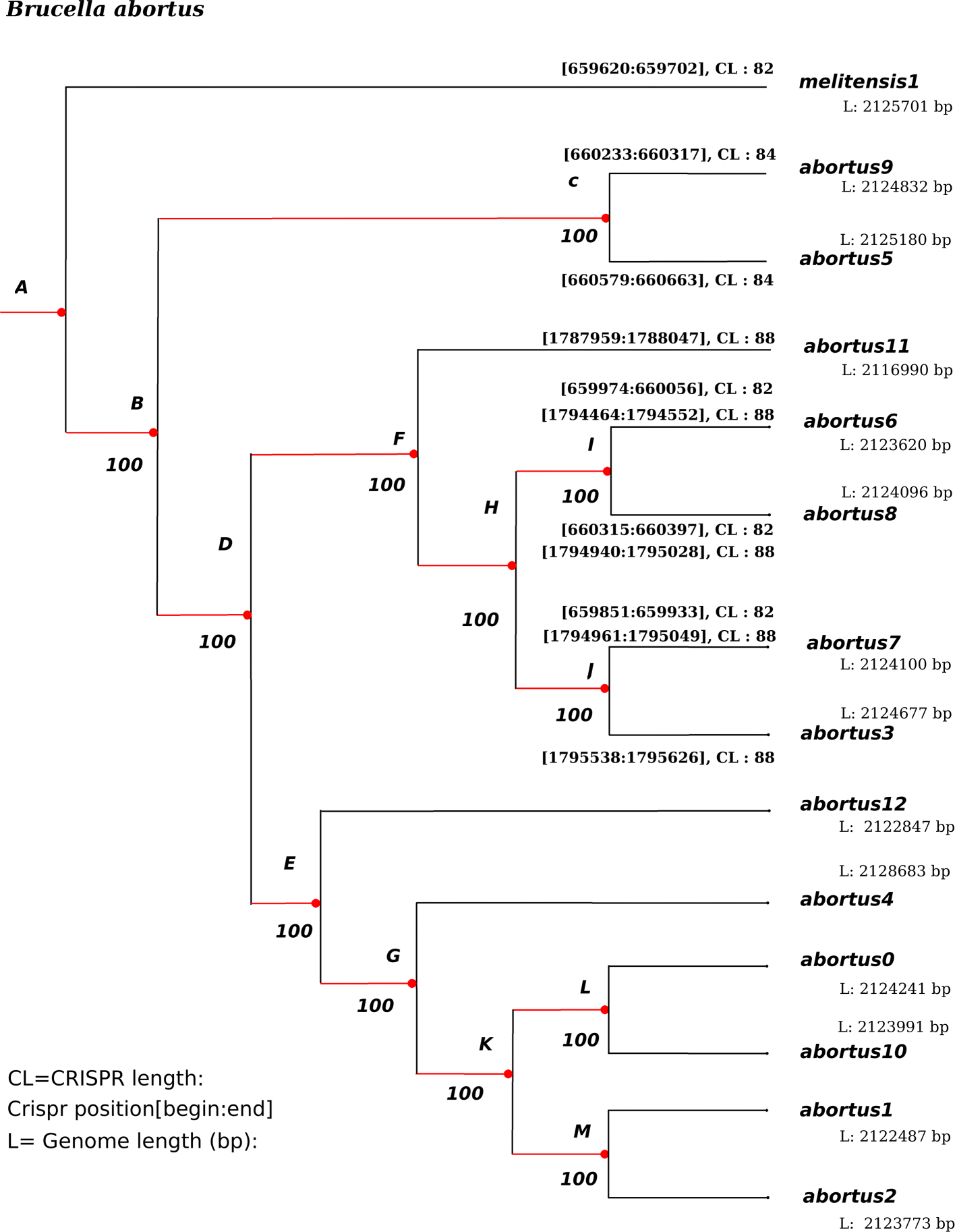 Fig. 19