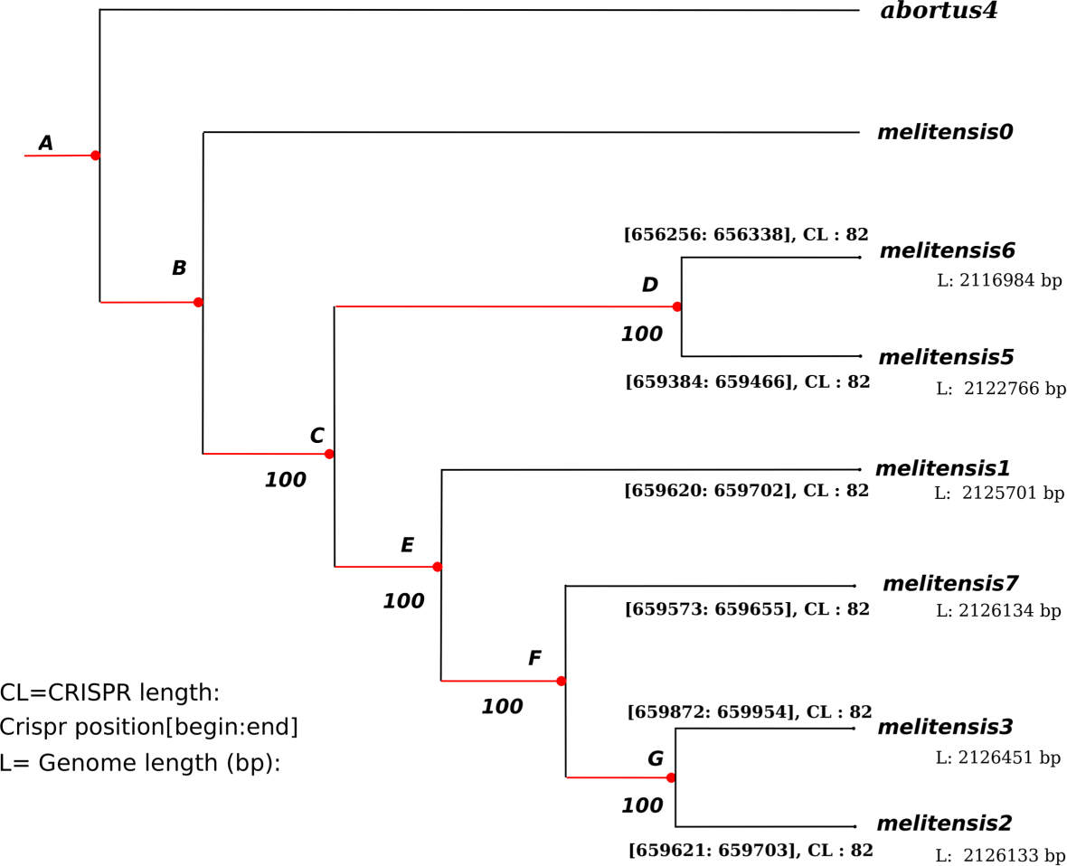 Fig. 20