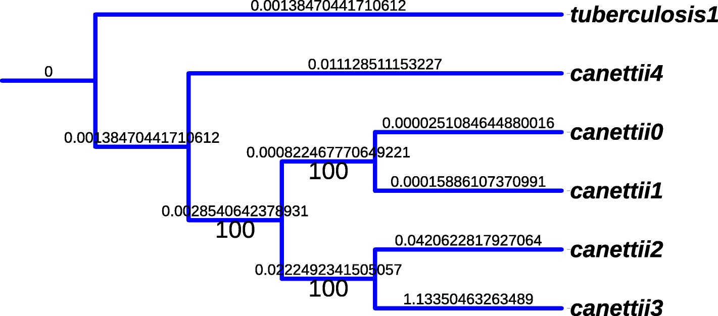 Fig. 6