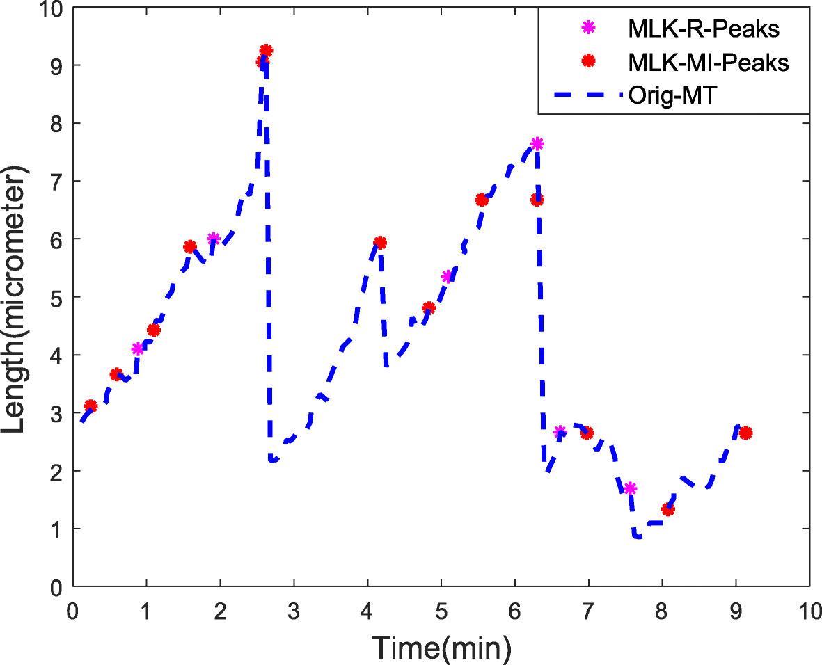 Fig. 5